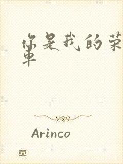 你是我的荣耀肉车