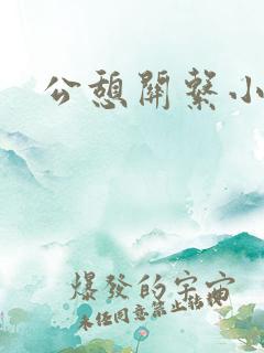 公憩关系小说