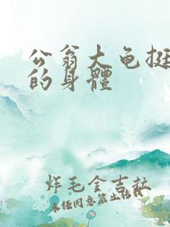 公翁大龟挺进我的身体