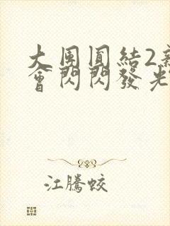 大团圆结2亲情会闪闪发光