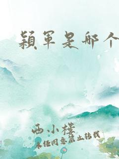 颖军是哪个军阀