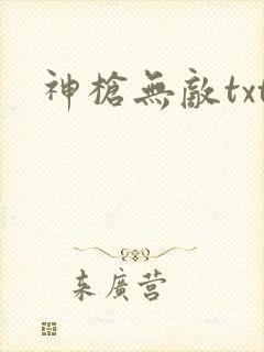 神枪无敌txt