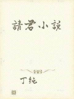 请君小说