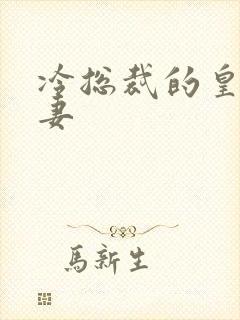 冷总裁的皇后暖妻