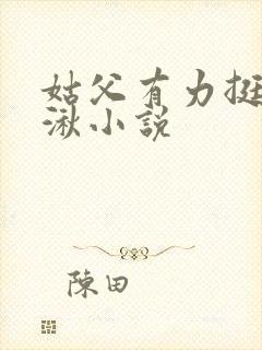 姑父有力挺送徐湫小说