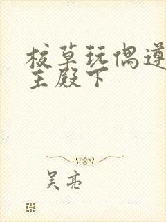 校草玩偶遵命公主殿下