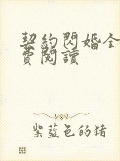 契约闪婚全文免费阅读