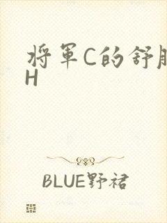 将军C的舒服么H
