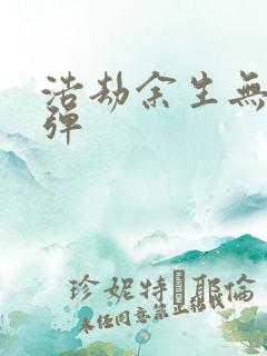 浩劫余生无限子弹