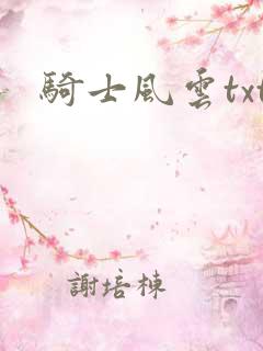 骑士风云txt