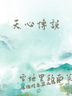 天心传说