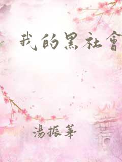 我的黑社会女友