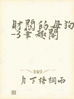 财阀的母狗们1-3笔趣阁