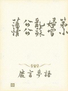 荡公乱妇第1章情公苏雪小说