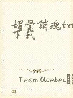 媚骨销魂txt下载