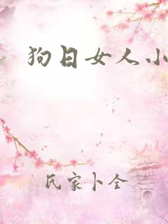 狗日女人小说