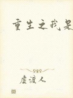 重生之我是战机