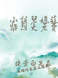 小说儿媳苏玥干柴烈火免费阅读