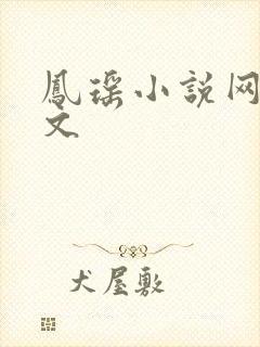 凤瑶小说网高辣文