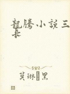 龙腾小说三宝局长