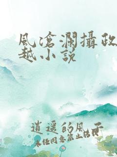 风沧澜摄政王穿越小说