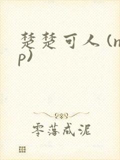 楚楚可人 (np)