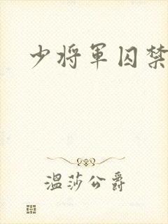 少将军囚禁我