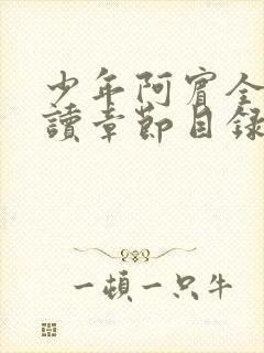 少年阿宾全文阅读章节目录