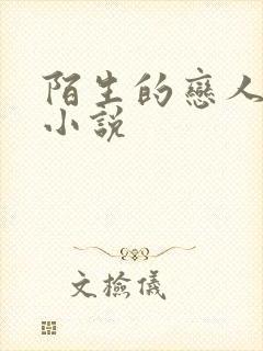 陌生的恋人原著小说