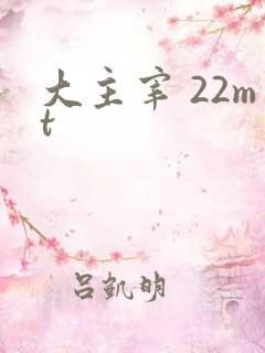 大主宰 22mt