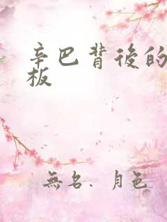 辛巴背后的人老板