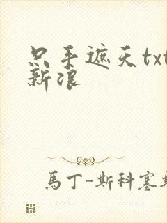 只手遮天txt新浪