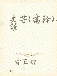 光芒(高干)小说