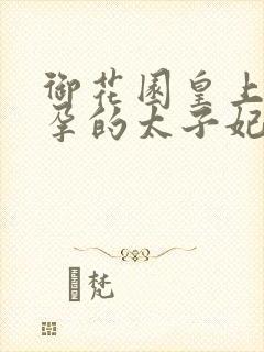 御花园皇上C有孕的太子妃