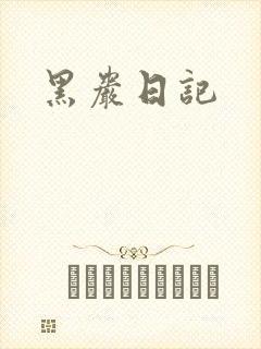黑岩日记
