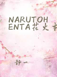 NARUTOHENTA花火本子