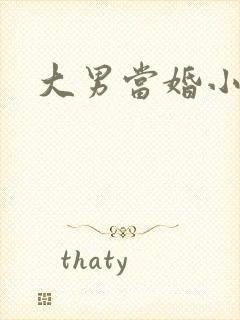大男当婚小说