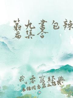 第九书包辣肉短篇集合