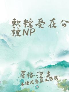 软糯受在公交车被NP