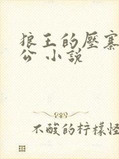 狼王的压寨小相公 小说