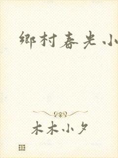 乡村春光小说