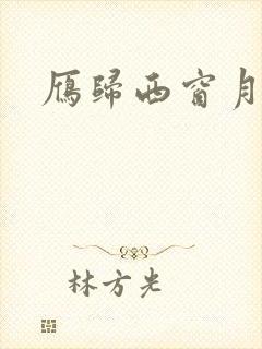 雁归西窗月小说