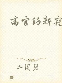 高官的新宠