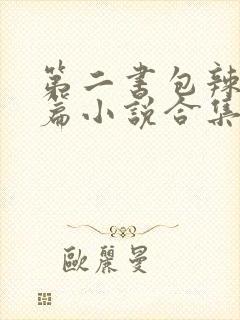第二书包辣网短篇小说合集