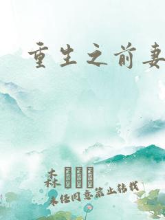 重生之前妻之惑