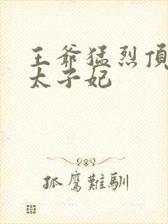 王爷猛烈顶弄H太子妃