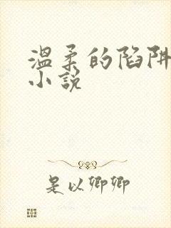 温柔的陷阱周芸小说