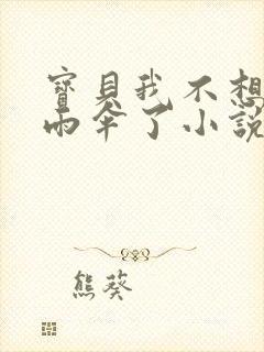 宝贝我不想带小雨伞了小说