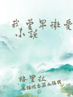 我曾卑微爱过你 小说