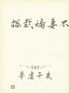 总裁娇妻不太乖